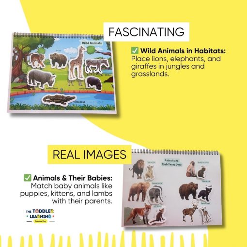 Early Learner Essentials Pack– 6-in-1 Activity Set - Image 12