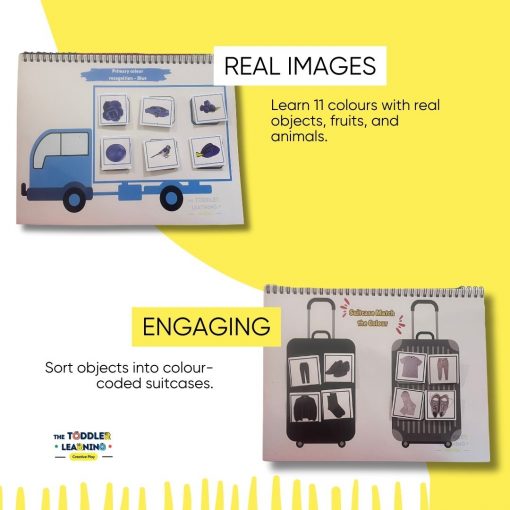 Shapes, Colors & Flashcard Learning Set with free marker - Image 4