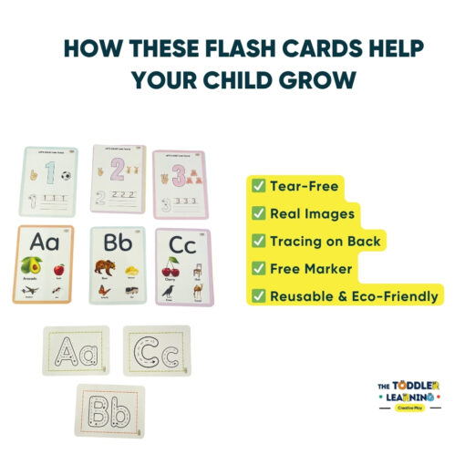 Alphabet Flash Cards