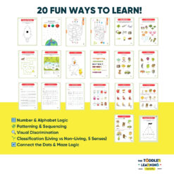 Logical Reasoning Worksheets